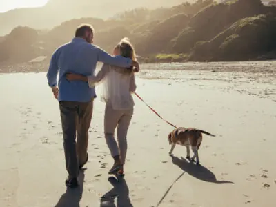 Attention Centre Owners! Is your current strategy going to guarantee you a successful early retirement?