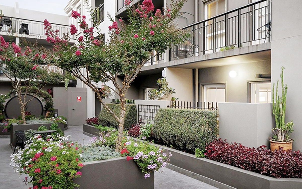 Landscaped communal courtyard at Henrietta Street, Hawthorne featuring gardens and apartment entrances.